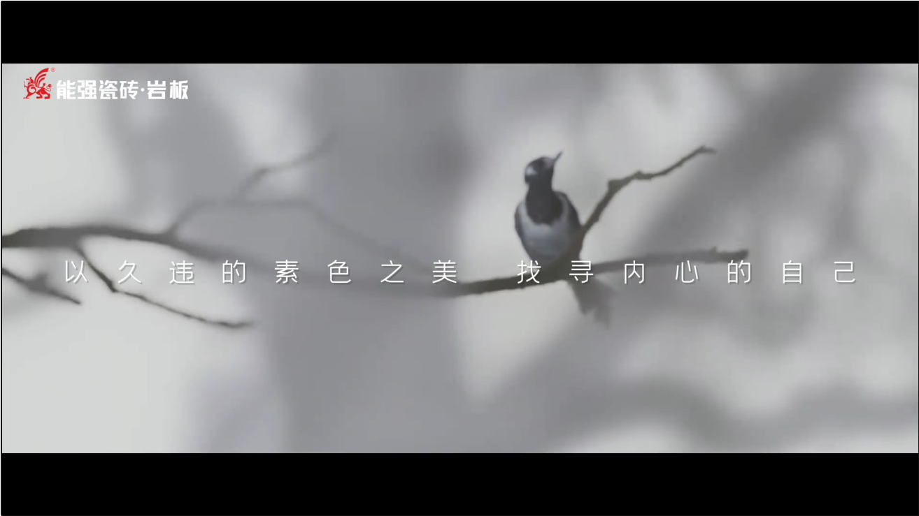 素巖系列 | 以素色之美，找尋內(nèi)心的自己